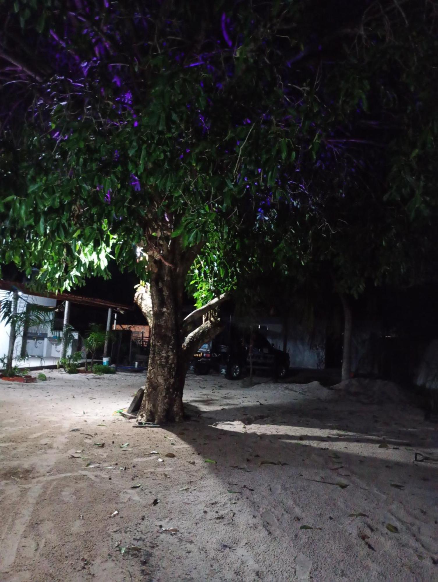 Hostel E Camping Na Rua Das Flores Santo Amaro do Maranhao Exterior foto